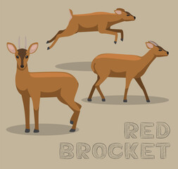 Deer Red Brocket Cartoon Vector Illustration