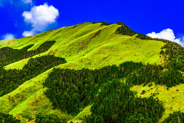 Stunning close-up of cloud view and mountain scenery. Charming green mountain top scene, hiking trail and blue cloudy sky create a scenic landscape. High quality photo, Hehuan Mountain, Taiwan.