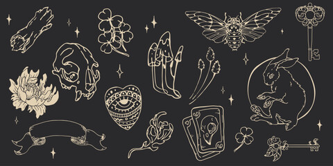 Set of aesthetic mystical elements on dark background. Witchcraft elements in doodle style. Isolated esoteric illustrations.