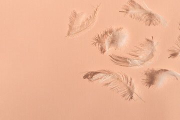 Messy white feathers on peach texture background with natural sun light shadows. Peach fuzz ,...