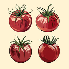Vintage and retro tomato set