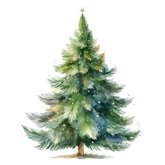 Watercolor Green Christmas Fir Tree Illustration Isolated White Background comeliness