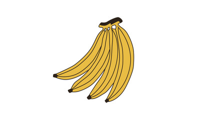 banana fruit line drawing White background vector illustration