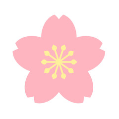 桜の花のイラスト カラー 線なし