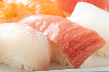 にぎり寿司盛り合わせの、中トロにぎりを中心としたアップ。
