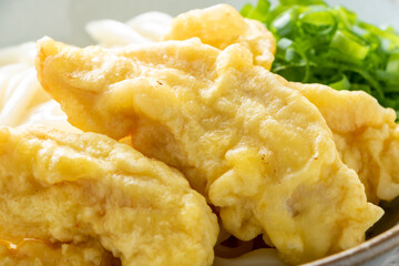 とり天ぶっかけうどんのアップ。
