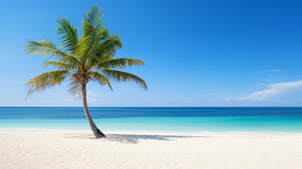 Fototapeta na wymiar Lonely palm tree at the sand beach