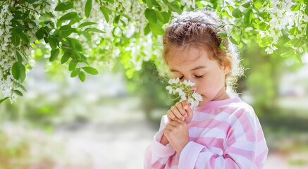 Portrait of a little girl against the background of a flowering tree. A child holds a branch with an acacia flower in his hands and smells it. Close-up. Copy space.