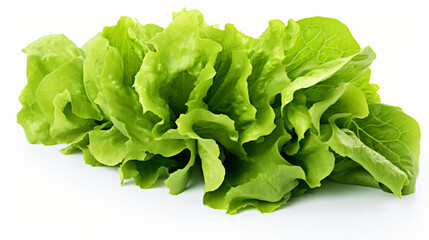 Romana green salad lettuce