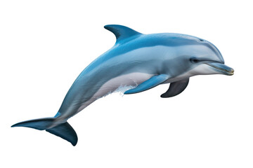 Ocean Grace: Exploring the World of Hector Dolphin isolated on transparent background
