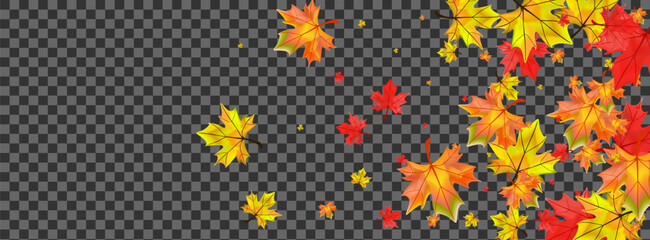 Autumnal Floral Background Transparent Vector. Leaves Down Design. Orange Season Plant. Realistic Leaf Template.