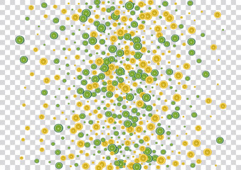 Mint Lime Background Transparent Vector. Natural Pattern. Bright Lemon Graphic. Wallpaper Fruit Bright Decoration.