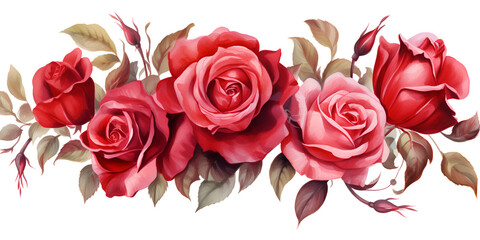 Naklejka premium Watercolor pink roses on white background 