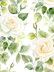Watercolor white roses on white background 