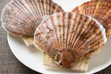 ホタテ(殻付き帆立貝)。
