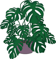 Houseplant clipart. Plant in the pot. 