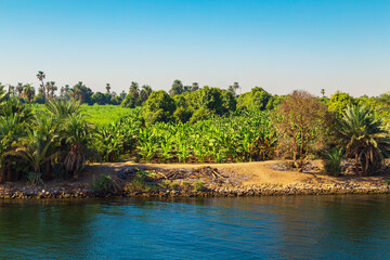 Cultivated fields on the Nile River.