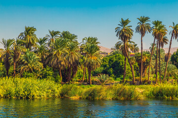 Picturesque scenery of the Nile River.