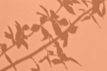Natural flower shadows are blurred on light beige pastel color wall at home at sunrise. Peach fuzz...