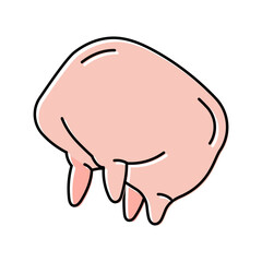 cow udder color icon vector. cow udder sign. isolated symbol illustration