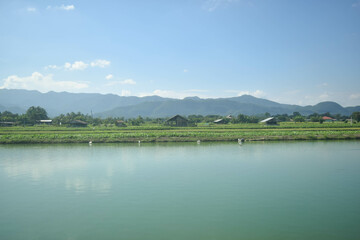 Fototapeta premium local fish farm