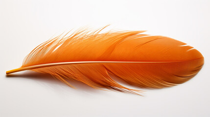 Beautiful orange bird feather isolated on white, AI Generative.