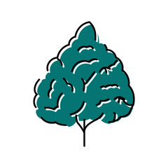 durian tree jungle amazon color icon vector. durian tree jungle amazon sign. isolated symbol illustration