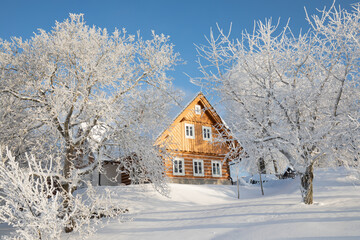 timbered cottage in a snowy landscape
Incredible winter landscape with snow covered trees in bright sunlight on frosty morning.