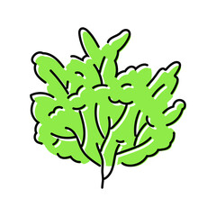 custard apple jungle amazon color icon vector. custard apple jungle amazon sign. isolated symbol illustration