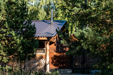 Fototapeta na wymiar A small wooden house in the forest among the fir trees.