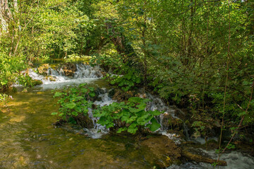 A small stream passing through Martin Brod village, Bihac, in the Una National Park. Una-Sana Canton, Federation of Bosnia and Herzegovina. Early September