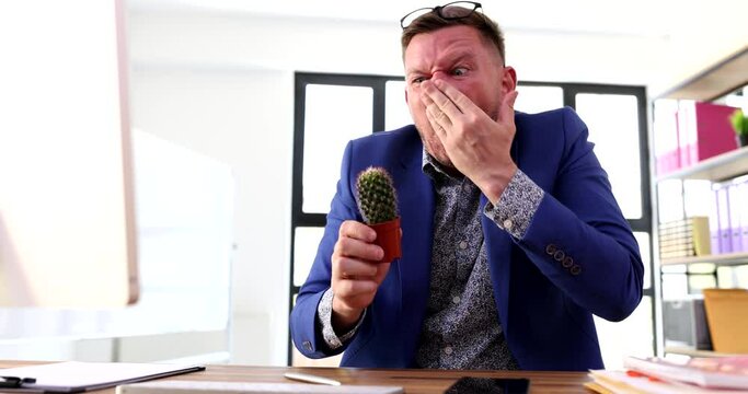 Businessman sniffing sharp cactus and pricking his nose 4k movie. Suffering from curiosity concept