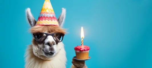 Fotobehang Happy Birthday, carnival, New Year's eve, sylvester or other festive celebration, funny animals card - Alpaca with party hat and cupcake with candle isolated on blue background © Corri Seizinger