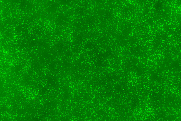 Green galaxy space background. Starry night sky background. Night sky with stars. New year, Christmas and all celebration backgrounds concept.	
