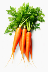 Carrot isolate on a white background. Selective focus.