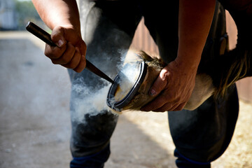 Farrier at work- hot shoeing a horse - obrazy, fototapety, plakaty