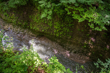 Obraz premium Clifton Gorge State Nature Preserve in Ohio