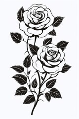 A beautiful illustration of roses