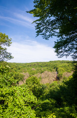 Fototapeta premium Overlook at Cuyahoga Valley National Park in Ohio