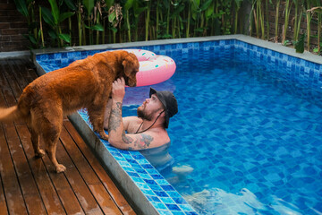 A man sits in the swimming pool and looks at his Golden Retriever dog, which is standing on the...
