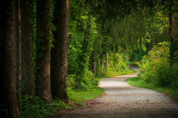 Naklejka premium Walking Trail at Cuyahoga Valley National Park in Ohio