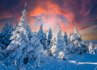 winter wonderland in the Erzgebirge with snow and sunset