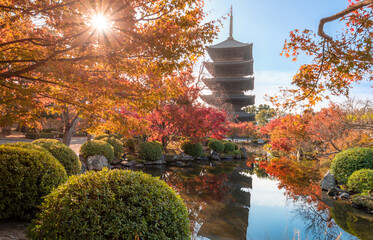 Naklejka premium The most beautiful viewpoint of Toji(To-ji) is a popular tourist destination in Kyoto, Japan.