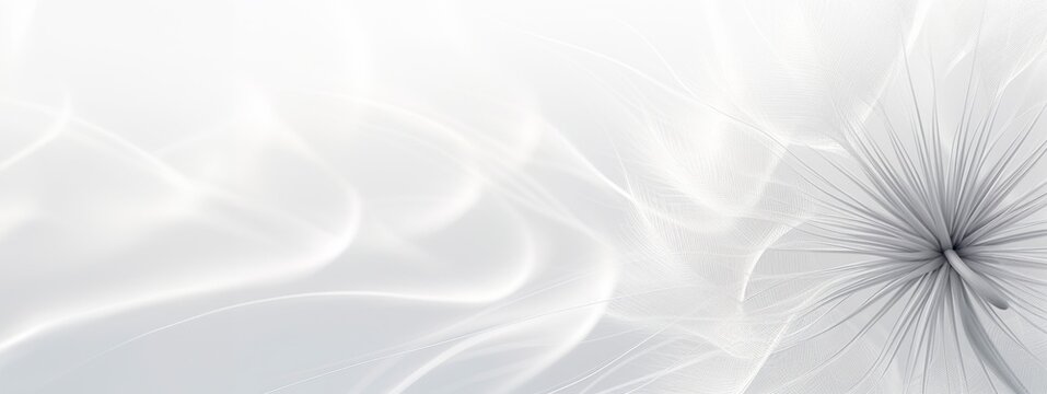  abstract close up of dandelion in white and gray, horizontal wallpaper with large copy space for text. Condolence, grieving card, loss, funerals, support. © XC Stock