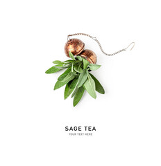 Herbal sage fresh leaves tea and strainer isolated on white background.