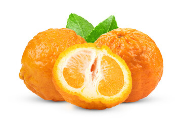 Tangerines orange isolated on transparent png