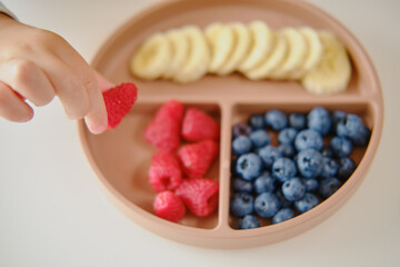 The little baby hand reaches for a fresh raspberry from the plate of fruits and berries on the table. Kid boy aged two years (two-year-old)