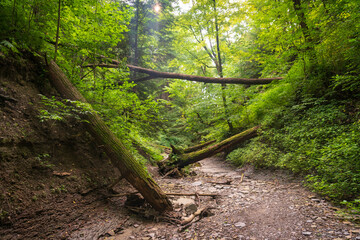 Trail at Cuyahoga Valley National Park in Ohio
