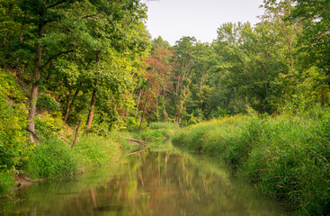 Picturesque stream at Cuyahoga Valley National Park in Ohio