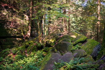 The Ledges Trail at Cuyahoga Valley National Park in Ohio